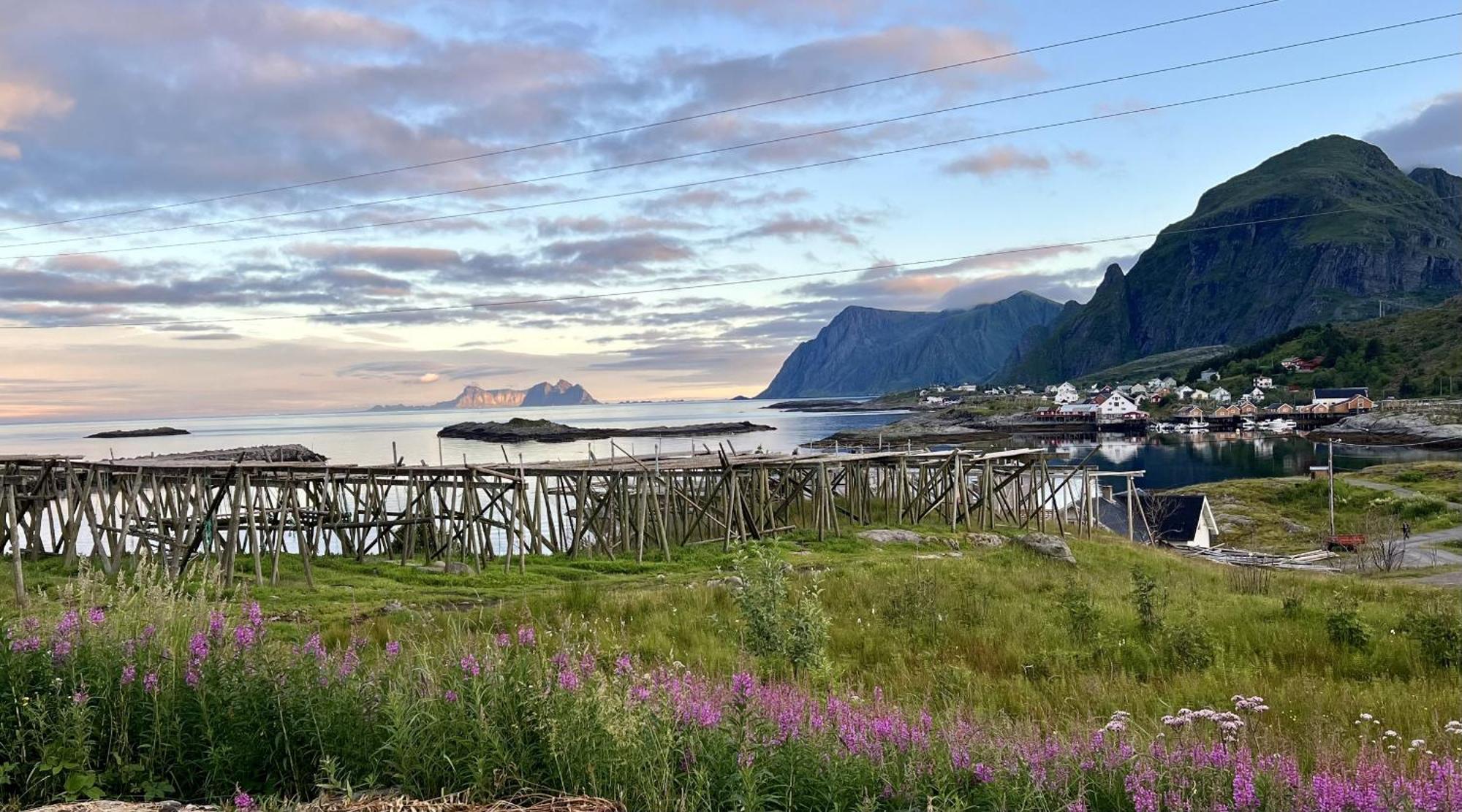 Romantisk hus-med panorama utsikt over lofotodden Sørvågen Eksteriør bilde